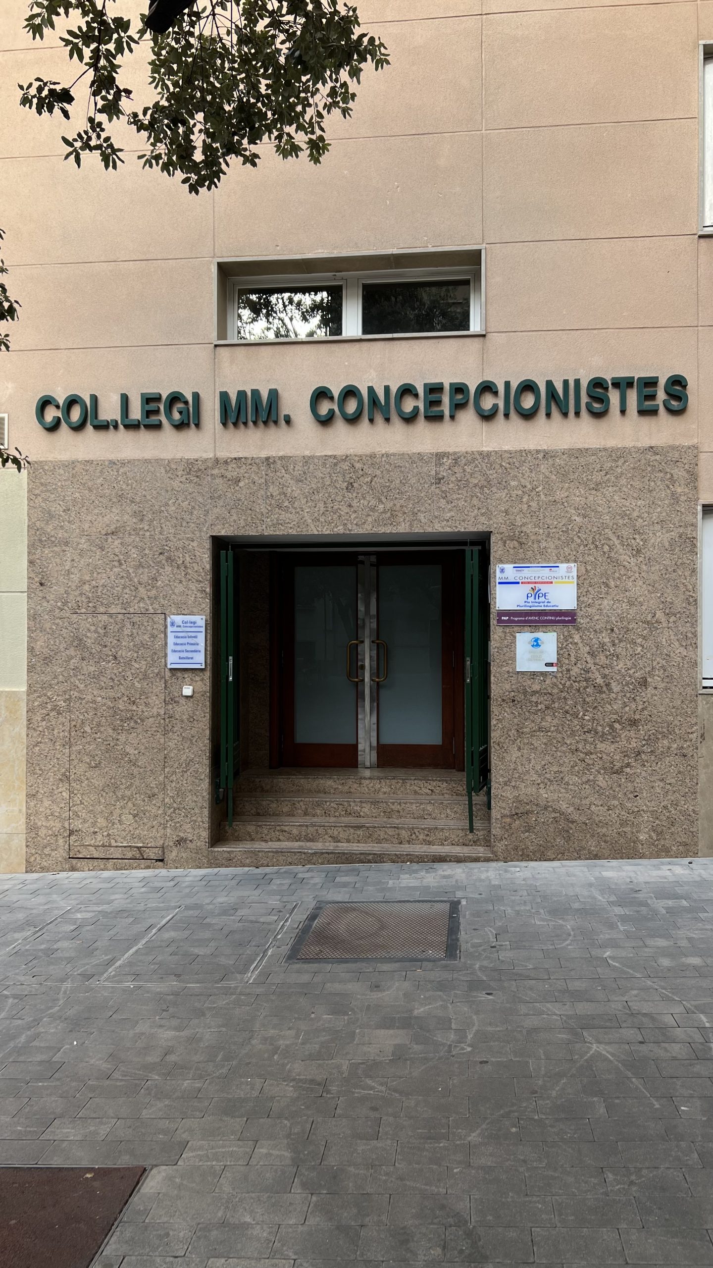 Concepcionistas - AVIPA