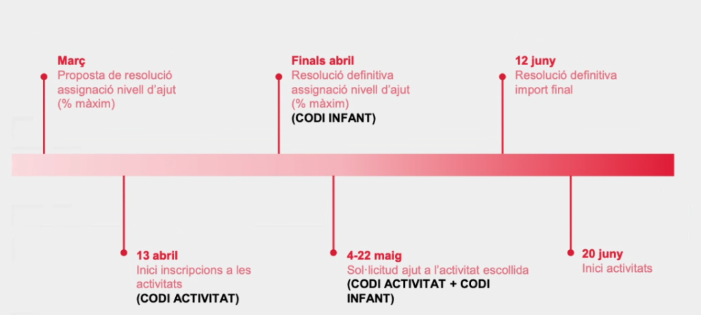 Becas del Ayuntamiento para el Casal de Verano 2026